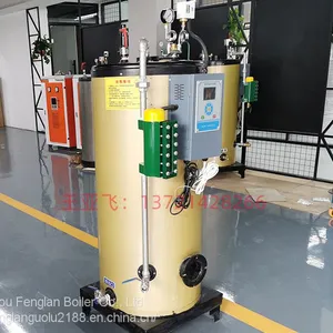 Brief Introduction of Steam Generator Discussion on the Technology of 0.2t Gas Steam Generator for Food Cooking thumbnail-2