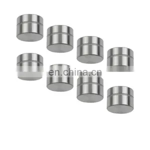 China Factory Brand New Factory Wholesale Valve Lifter 95VW6500BA 95 VW 6500 BA 123-69 12369 420002210 420 0022 10 For Ford thumbnail-1