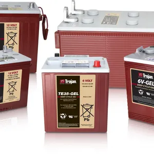 Qiu Jian Trojan Battery T-105 American Qiu Jian Battery 6V225AH Sightseeing Car T105 Floor Scrubber Battery thumbnail-4