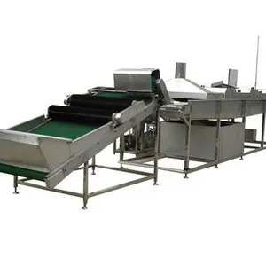 Automatic Fruit Peach Canning Production Line for Canned Pineapple PLC As Core Component thumbnail-1
