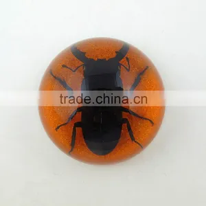 2016 New Latest Design Novel Wholesale Funny Paperweight thumbnail-2