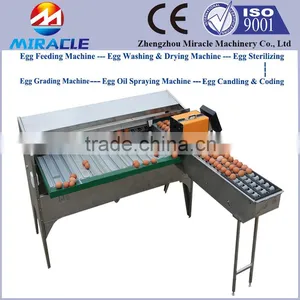Grader and Sorter Egg Machine, Egg Process Grading Machine From Food Process Line thumbnail-1