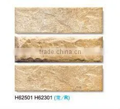 CERAMIC TILE - FENGGU STONE - HOUSON TILES thumbnail-1