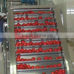 Vegetable&fruit Elevator/fruit Production Line thumbnail-1