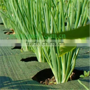 Top Quality PP Woven Weed Control Mat thumbnail-1