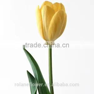 Kunming Suply 2016 High Quality Fresh Cut Yellow Tulip Plant thumbnail-1