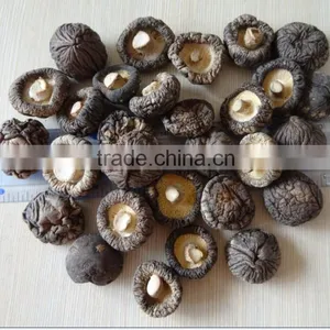 Japanese Cogumelo Shiitake Seco thumbnail-1