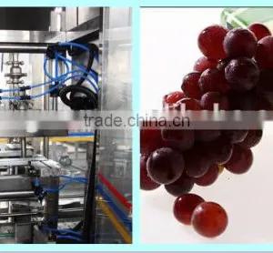 Grape Seed Oil Filling Machine/processing Plant thumbnail-1