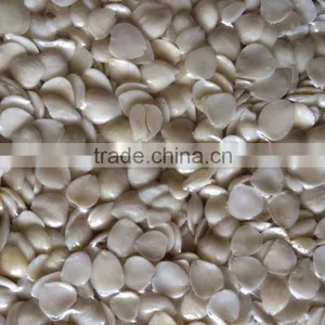Supply Good Quality Blanched Apricot Kernels Guangzhong Type thumbnail-5