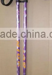 Nice Trekking Poles For Kids thumbnail-1