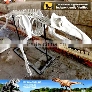 MY Dino-C078 Aquarium Life Size Fish Skeleton thumbnail-1