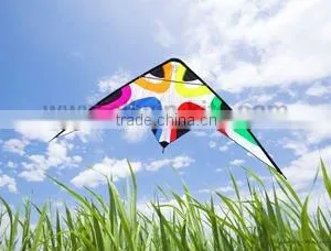 Dual Line Delta Stunt Kites - Curved Edge Kites thumbnail-1