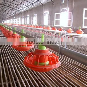 Broiler Feed System thumbnail-1