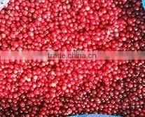 Lingonberry Pie Filling or Topping thumbnail-1