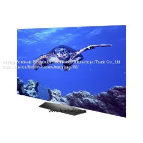LG OLED65B6P Flat 65-Inch 4K Ultra HD Smart OLED TV thumbnail-1