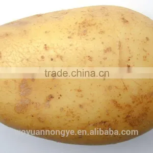 Potato thumbnail-1