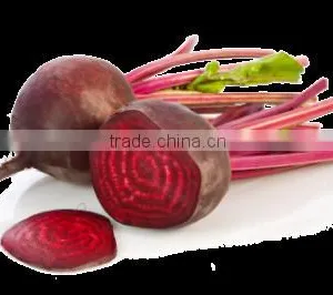 Beet Root Powder thumbnail-3