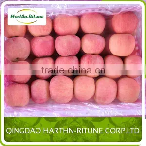 Best Quality Fres Apple for 2016 Fuji Apple at Cheap Prices thumbnail-1