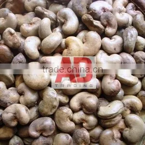 Benin Raw Cashew Nuts for World Market/ Good Quality thumbnail-5
