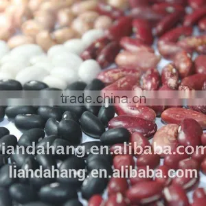 A Range of Kidney Beans thumbnail-5