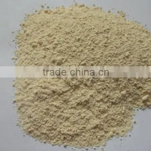 Sell Dehyrated Onion Powder thumbnail-1