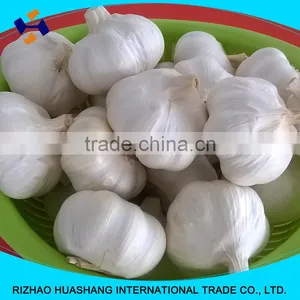 High Quality White Fresh Garlic Size5.0cm thumbnail-3