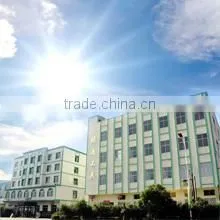 Yongkang Ludi Industry & Trade Co., Ltd. company overview - view 1 thumbnail
