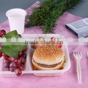 100%Biodegradable Plant-based Eco Friendly Fast Food Box thumbnail-1
