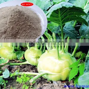 Pure Amino Acids / Vegetable Amino Acids / Amino Acid Fertilizer thumbnail-3