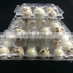 PVC,PE Quail Egg Packaging Boxes Clear Quail Egg Packaging Tray thumbnail-2