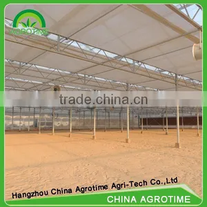 Venlo Greenhouse PC Sheet Glass Covering Hot Sale Greenhouse/glass Greenhouse thumbnail-6