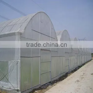Vegetable Greenhouse Polycarbonate Sheet Fim thumbnail-4