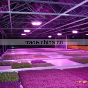 MarsHydro Waterproof ETL Certificated Led 60 Cm/120 cm Grow Bar thumbnail-2