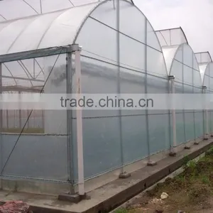 Hot-Dip Galvanized Steel Pipe Frame And 150mm PE Film Covered Multi-Span Greenhouse For Vegetables thumbnail-1