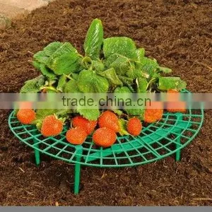 Strawberry Support ,plant Support thumbnail-1