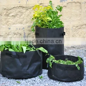 Non Woven Fabric Grow Bag,as Garden Planter thumbnail-1