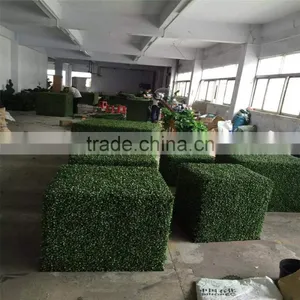 China Wholesale Boxwood Hedge 2017 Hot Sale Plastic and Topiary Boxwood Hedge thumbnail-1