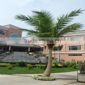 LXY082415 Ornamental Plants Artificial Coconut Palm Trees for Sale thumbnail-1