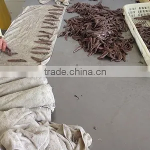 Spain Processing Way Salted Anchovy Fillets thumbnail-3