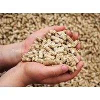 Wood Shavings Pellet Mill/Fote Wood Particle Pellet Mill/Wood Particle Pellet Machine Price thumbnail-1