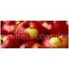 China Fruit & Vegetable Monthly Report thumbnail-1