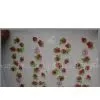 Transfer Paper thumbnail-1