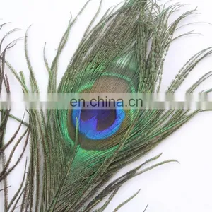 Factory Direct Sale Spot Supply Top Quality Peacock Feather thumbnail-3