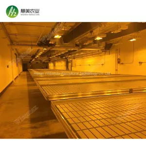 Agricultural 4ft x 8 ft Ebb&flow Benches thumbnail-1