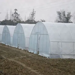 200micron Anti-UV Plastic Film Greenhouse for Agriculture thumbnail-2