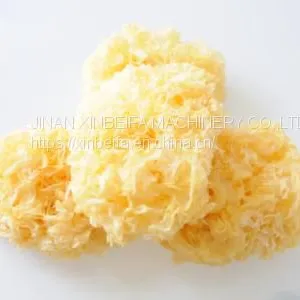 Tremella Drying Machine thumbnail-4