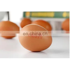 Factory Direct Supply Watermark Ink for Inkjet Printer thumbnail-4