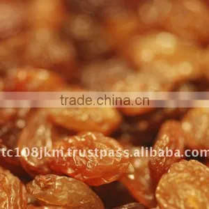 INDIAN GOLDEN RAISIN thumbnail-1