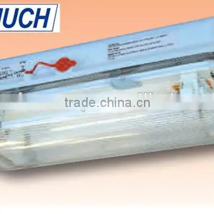 Small Explosion-Protected Light Fittings (Zone 1) - Germany thumbnail-1