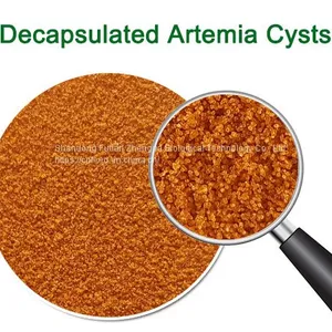 Decapsulated Artemia Cysts thumbnail-1